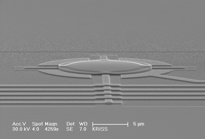 Niobium drum-head resonator